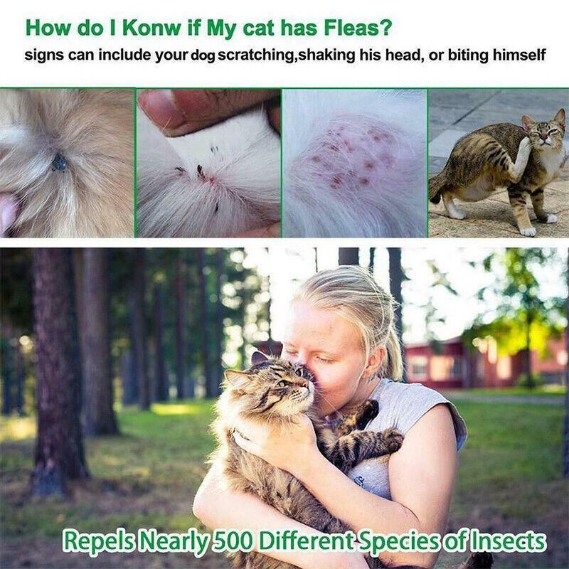 Short Adjustable Pet Anti Flea Tick Neck Collar For Dog Cat Kitten 8 Months view 11