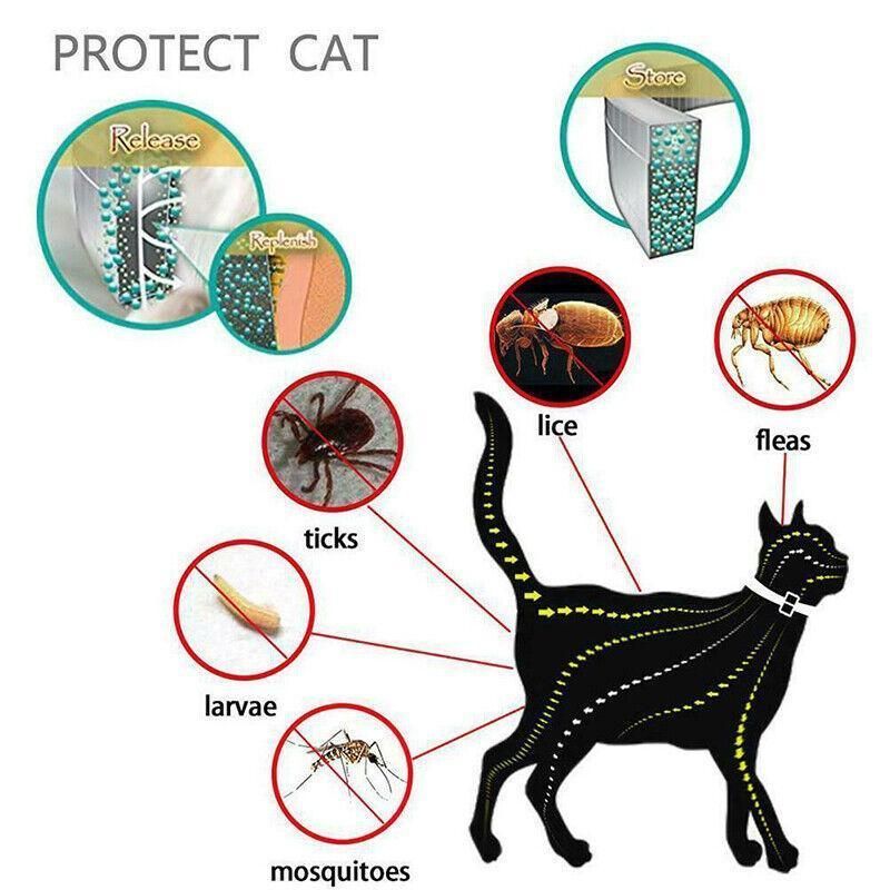 Short Adjustable Pet Anti Flea Tick Neck Collar For Dog Cat Kitten 8 Months view 12