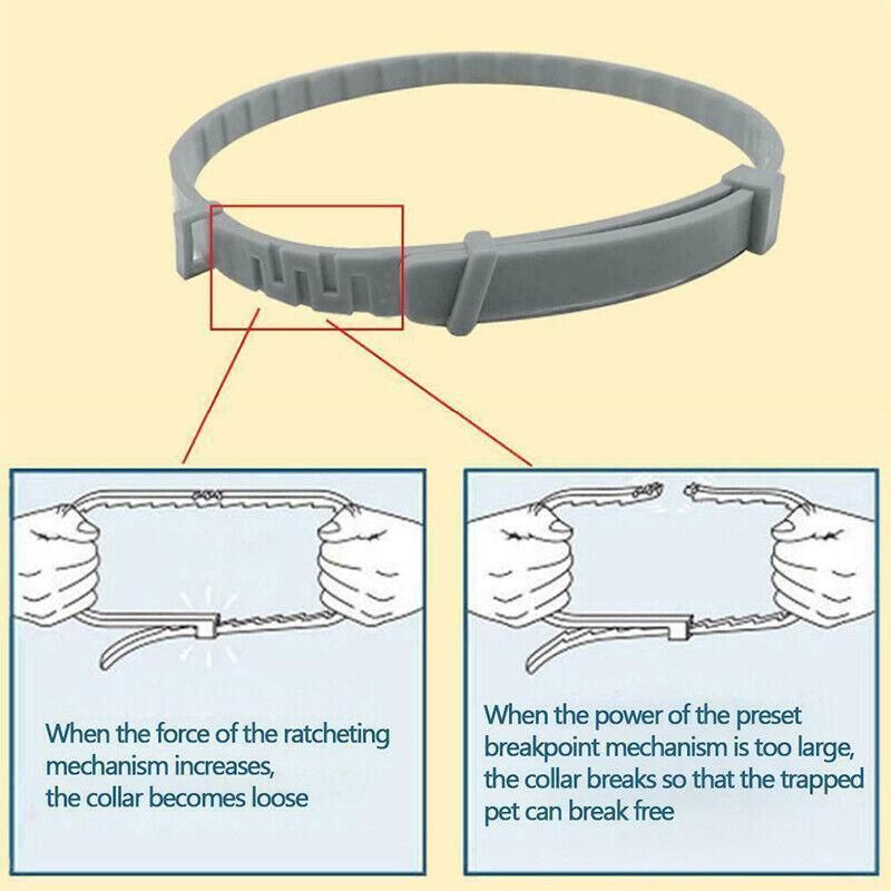 Short Adjustable Pet Anti Flea Tick Neck Collar For Dog Cat Kitten 8 Months view 14