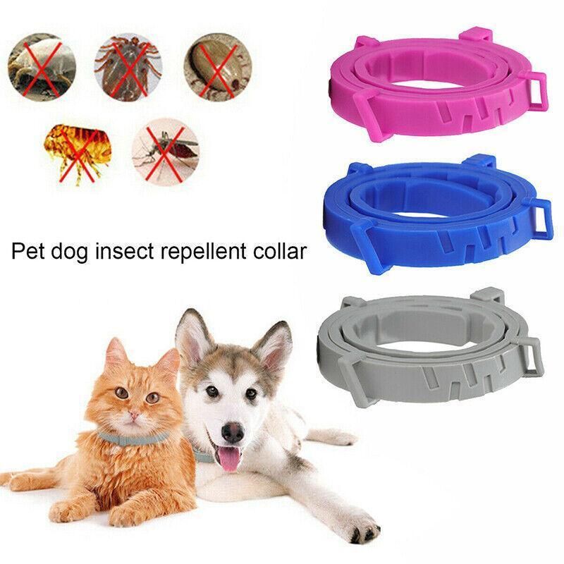 Short Adjustable Pet Anti Flea Tick Neck Collar For Dog Cat Kitten 8 Months view 15