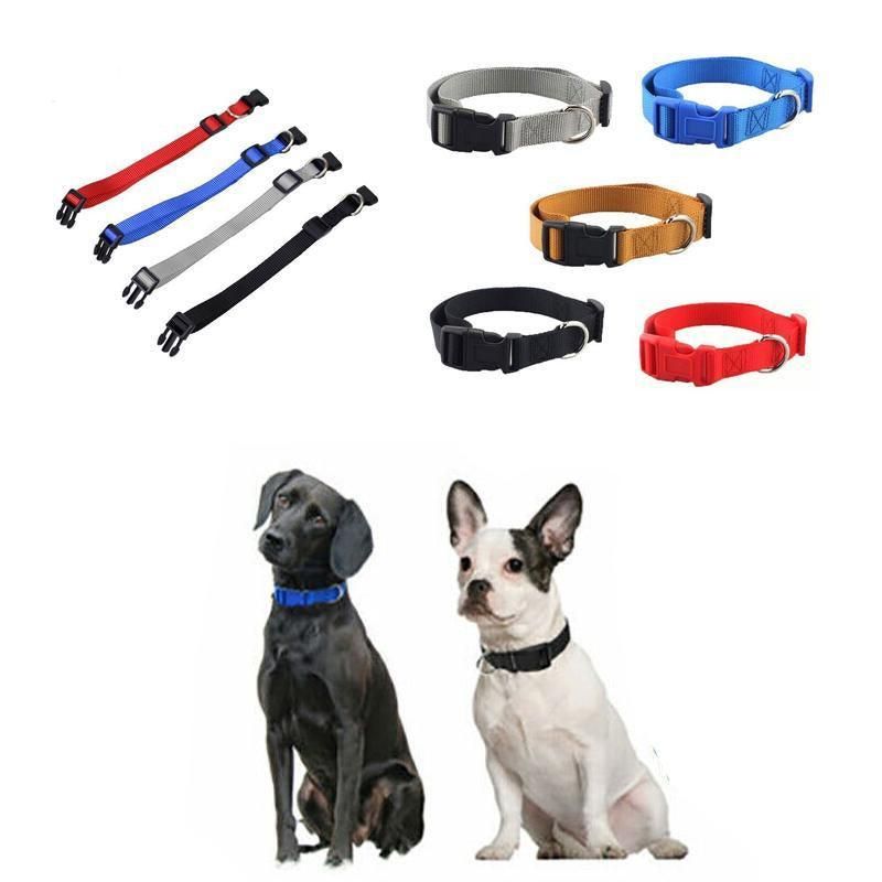 L Size Dog Puppy Pet Collar Adjustable Nylon Toy Large Pink Blue Red Black - Grey view 11