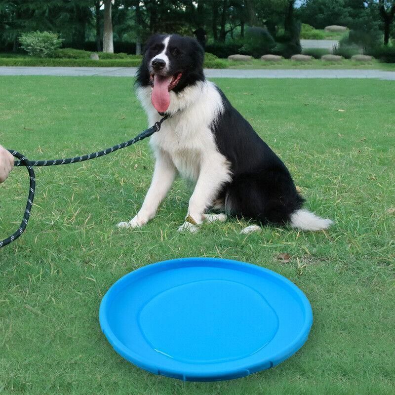 Frisbee Toy for Dogs Outdoor Fetch Training Soft Rubber Pet Flying Disc 18cm view 5