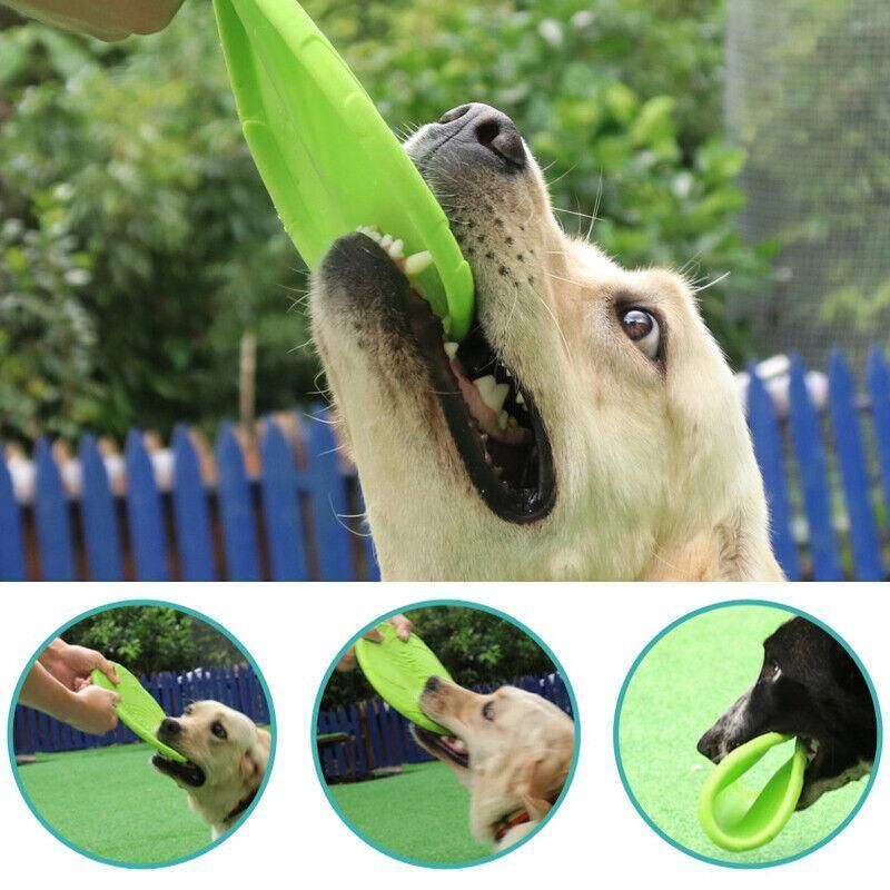 Frisbee Toy for Dogs Outdoor Fetch Training Soft Rubber Pet Flying Disc 18cm view 6