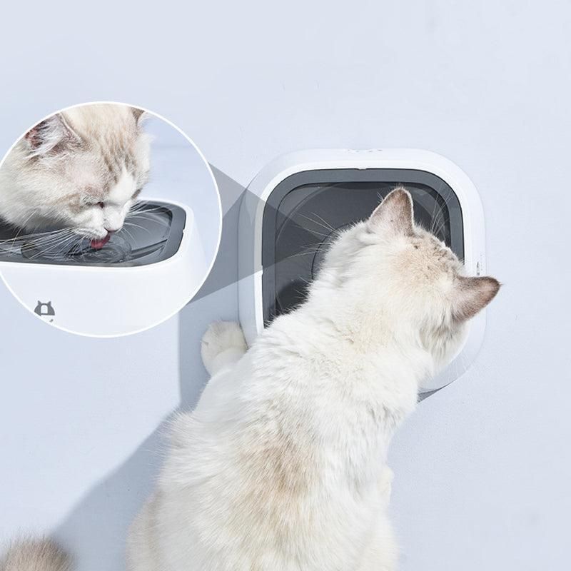 1.5L Pet Water Bowl No-Spill Design Slow Drinking Feeder with Non-Slip Base view 4