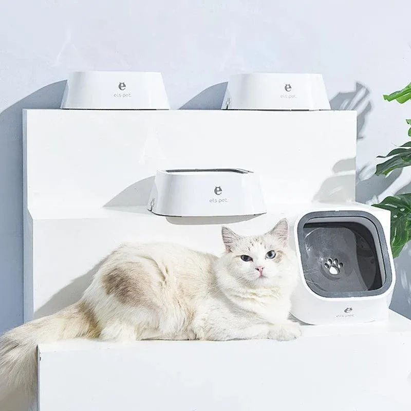 1.5L Pet Water Bowl No-Spill Design Slow Drinking Feeder with Non-Slip Base view 7