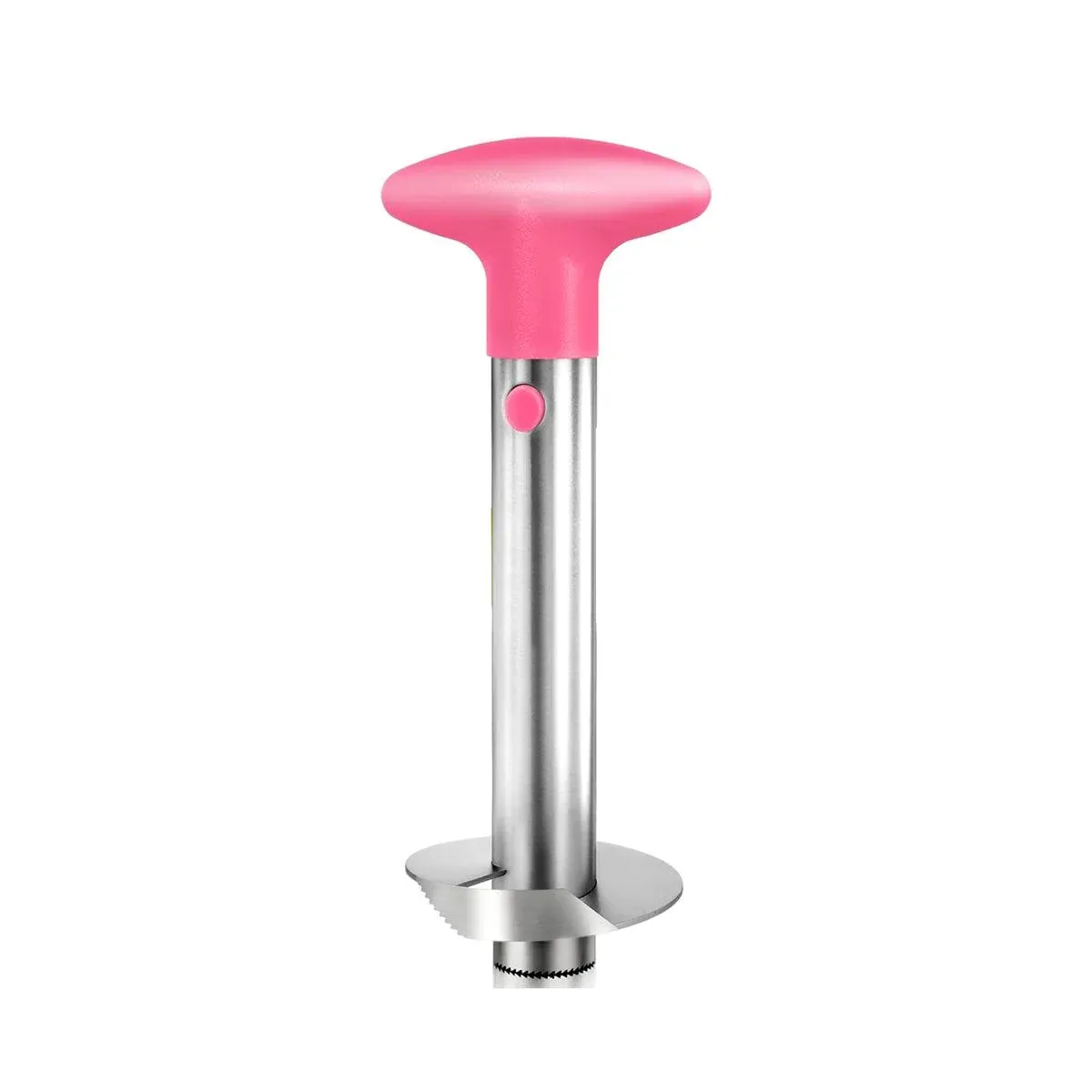 Stainless Steel Pineapple Corer Slicer Peeler Cutter Tool Easy Pineapple