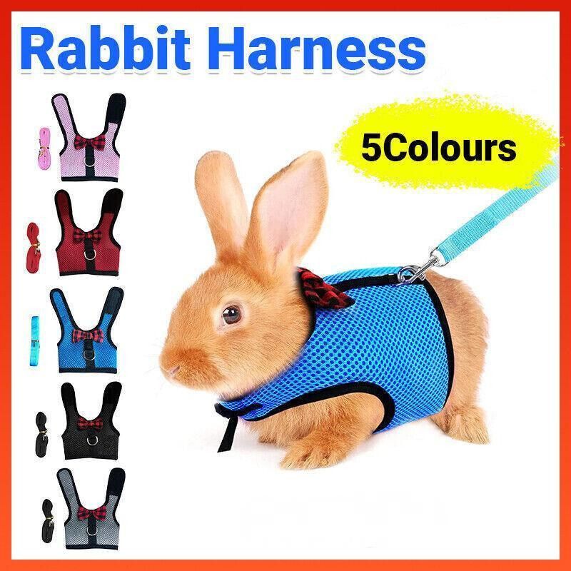 Rabbit Vest Harness Leash Lead Small Animal Pet Mesh Hamster Bunny Traction view 2