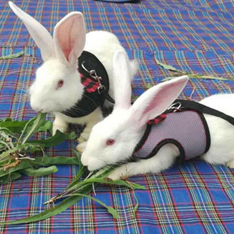 Rabbit Vest Harness Leash Lead Small Animal Pet Mesh Hamster Bunny Traction view 5