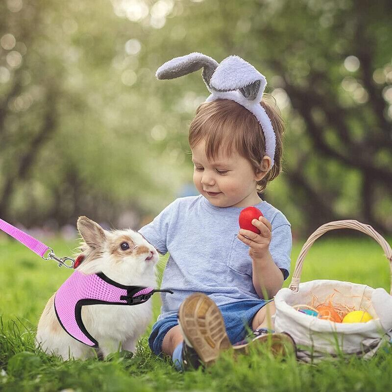 Rabbit Vest Harness Leash Lead Small Animal Pet Mesh Hamster Bunny Traction view 4