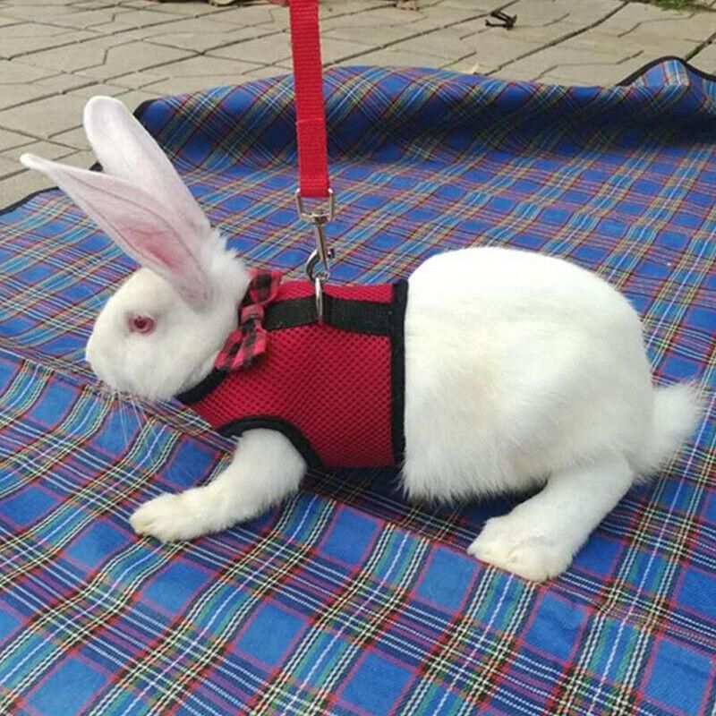 Rabbit Vest Harness Leash Lead Small Animal Pet Mesh Hamster Bunny Traction view 12
