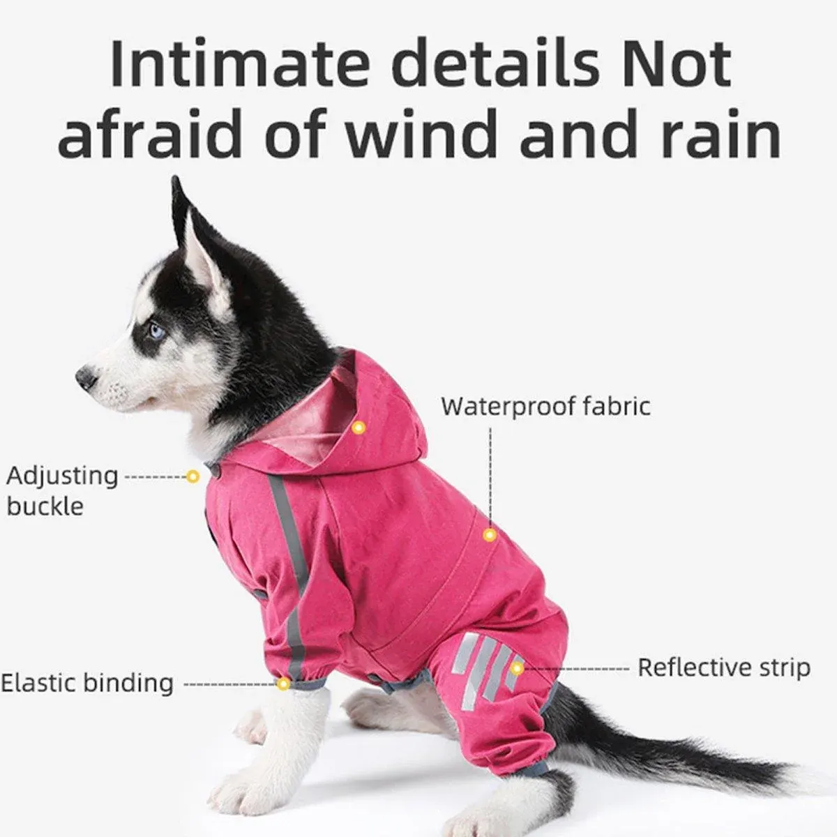 Waterproof Four Corner Pet Raincoats In Large Medium And Small Sizes Are view 6