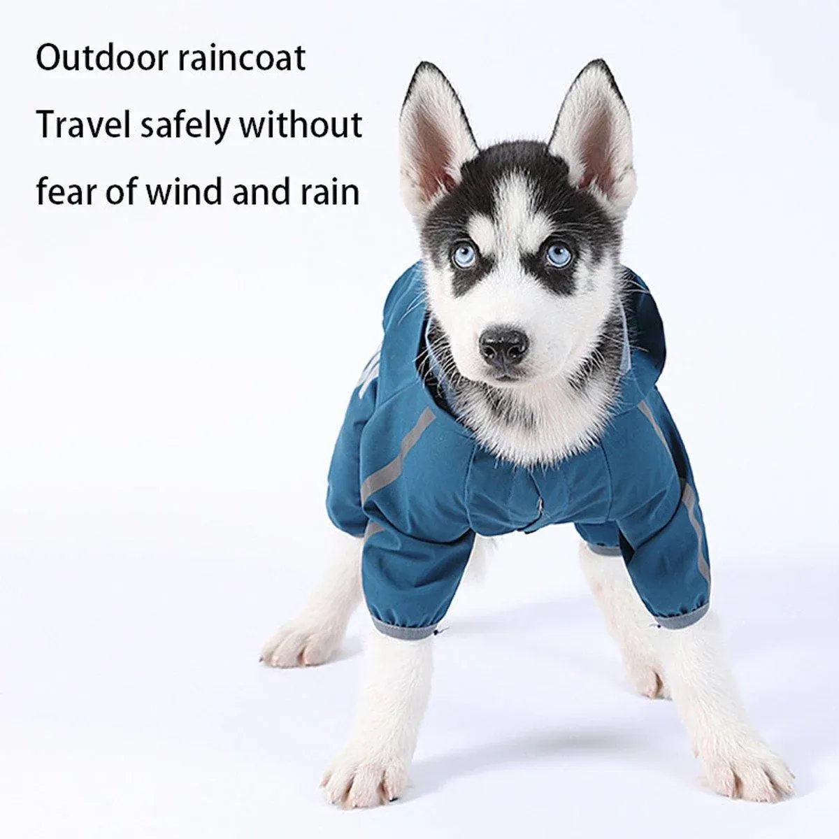Waterproof Four Corner Pet Raincoats In Large Medium And Small Sizes Are view 12