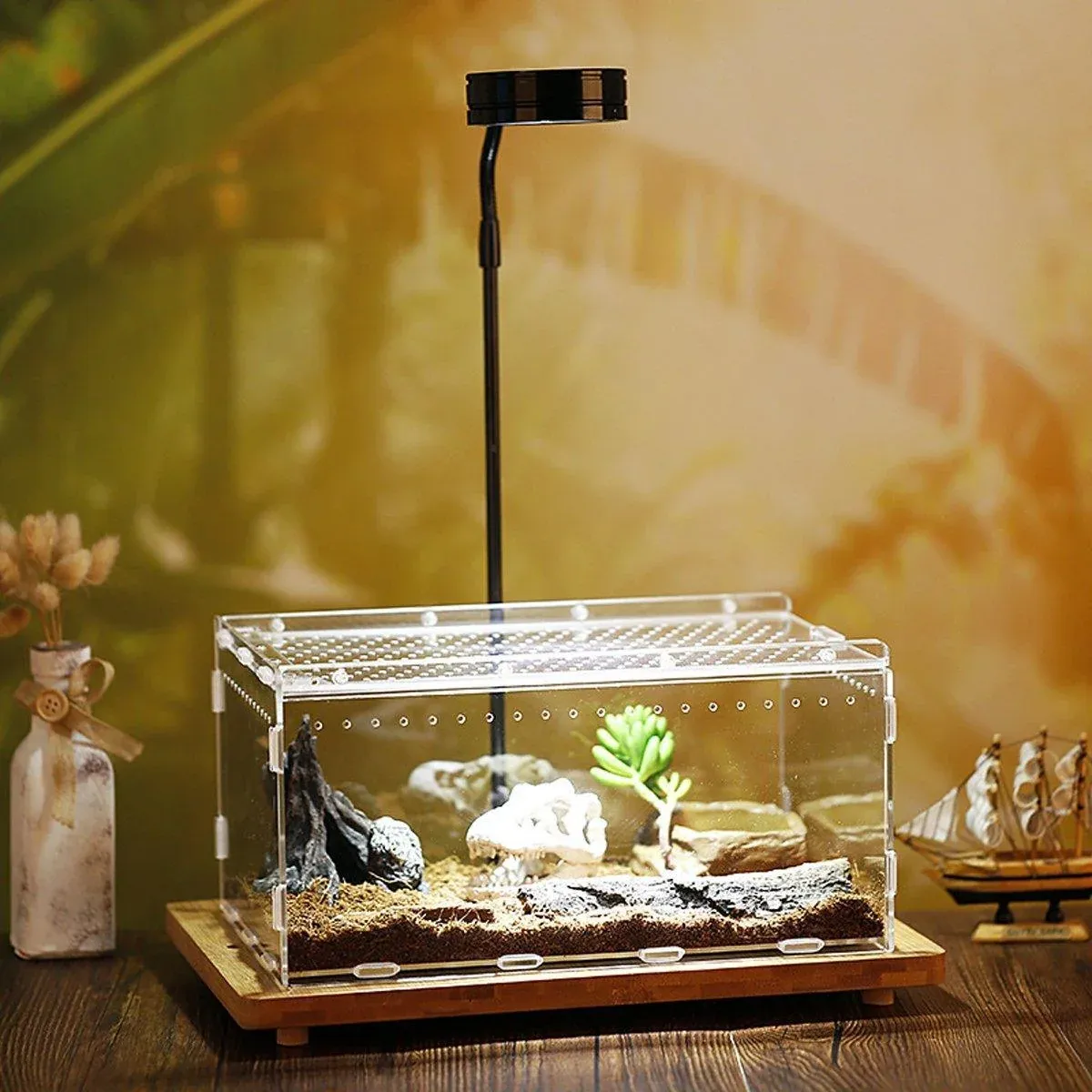 Clear Pet Box Slide Lid Reptile Breeding Habitat Panoramic View Terrarium view 7