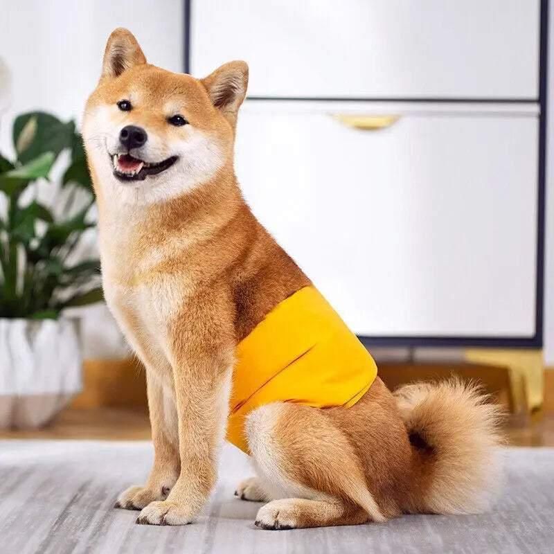 S Male Dog Puppy Nappy Diaper Belly Wrap Band Sanitary Pants Underpants - Grey view 7