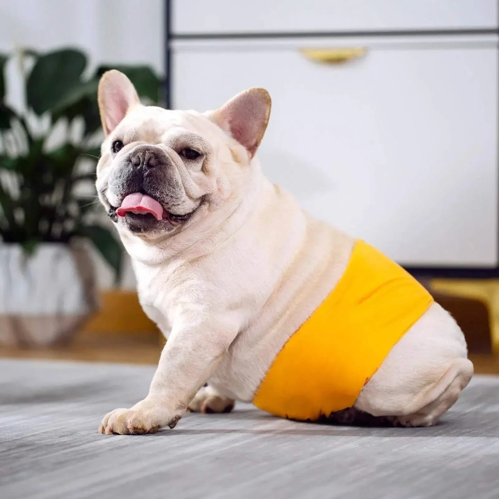 S Male Dog Puppy Nappy Diaper Belly Wrap Band Sanitary Pants Underpants - Grey view 8