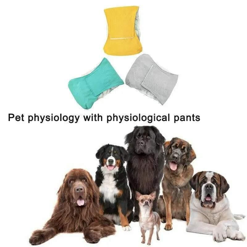 S Male Dog Puppy Nappy Diaper Belly Wrap Band Sanitary Pants Underpants - Grey view 12