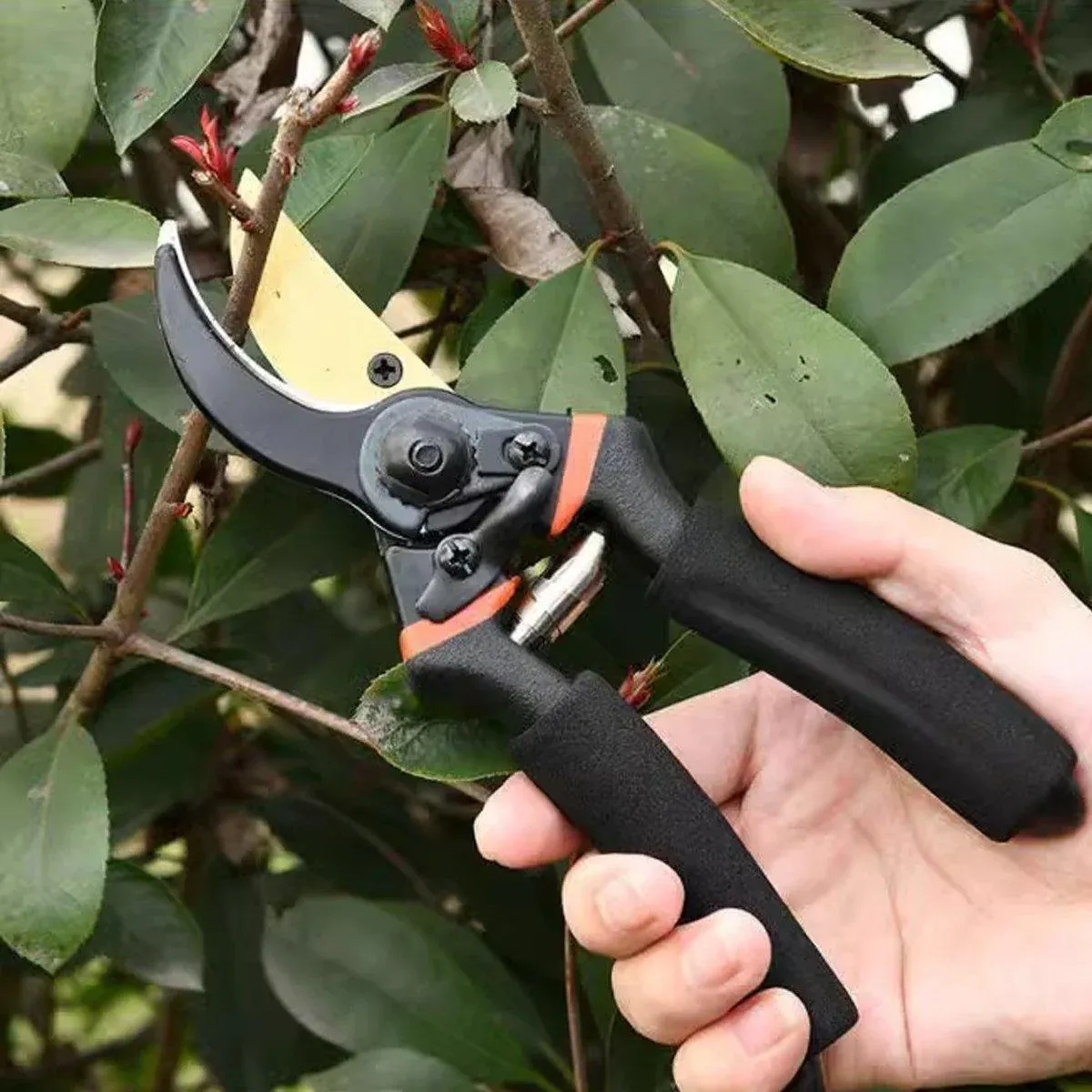 Thickened Branch Scissors Strong Garden Shears Cut Thick Branches Pruning Tools view 9