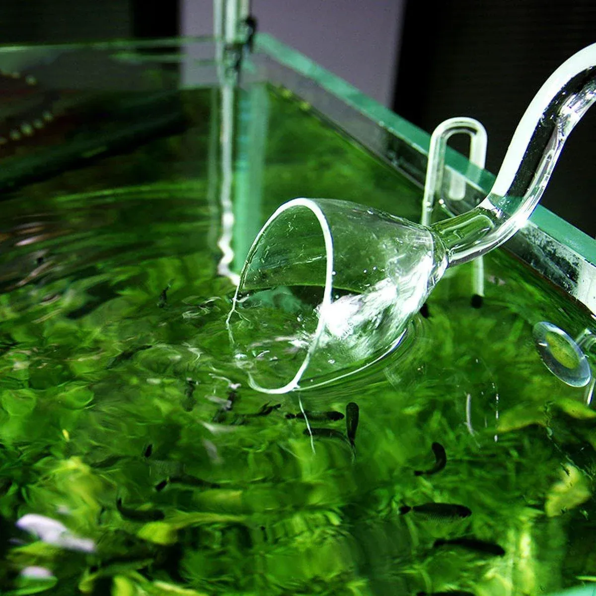 Aquarium Glass Inlet Outlet Pipe Fish Tank Filter Oil Film Remover Plant view 12