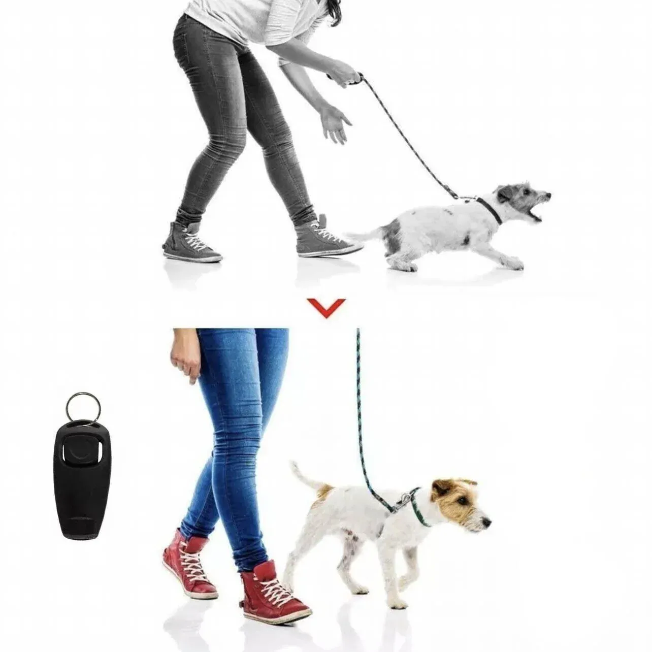 Dog Whistle and Clicker Set for Training Stop Barking Obedience Tool Combo - White view 12