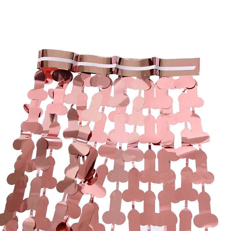 Metallic Tinsel Curtain 2m x 1m Hens Party Backdrop Foil Fringe Hanging Decor view 5