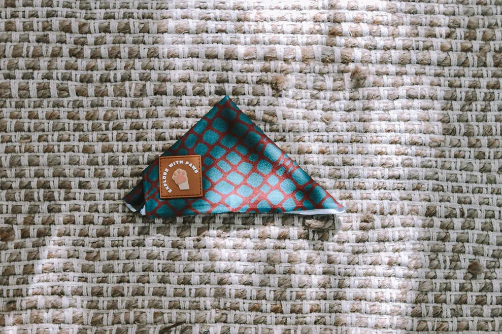 Designer Dog Bandana's view 2