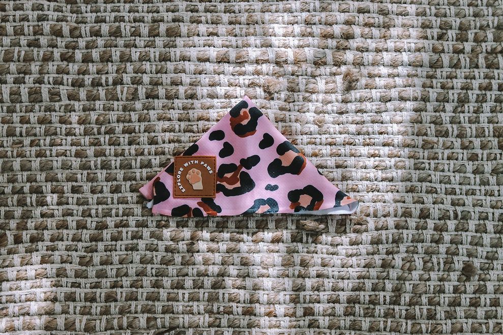 Designer Dog Bandana's view 2