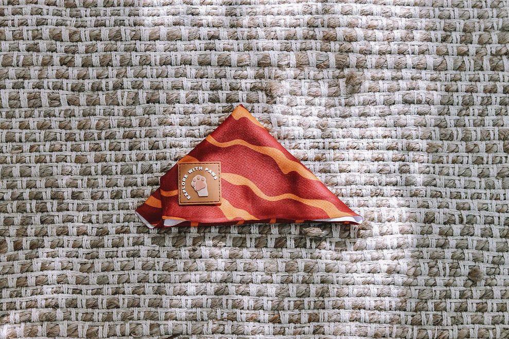 Designer Dog Bandana's view 2