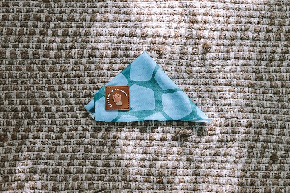 Designer Dog Bandana's view 2