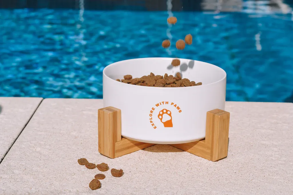 Pet Ceramic Bowl with Wooden Stand