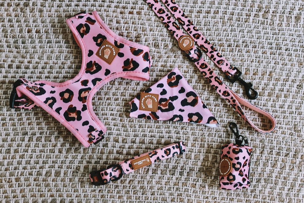 Dog Accessories Bundle Packaged — image 1