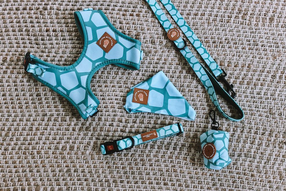 Dog Accessories Bundle Packaged — image 1