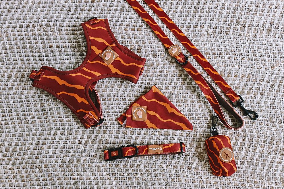 Dog Accessories Bundle Packaged — image 1