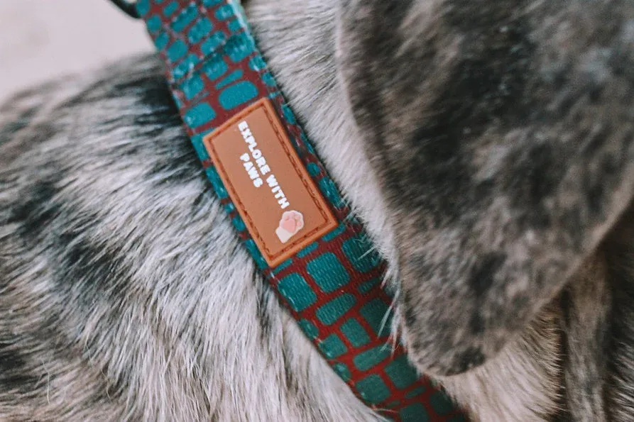 Designer Dog Collars view 2