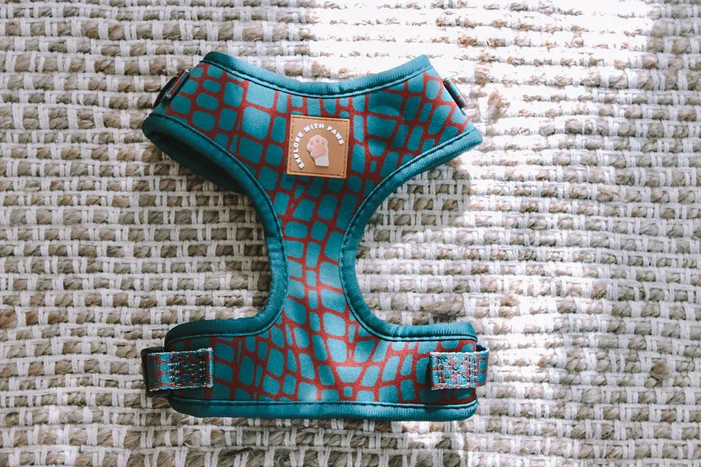 Designer Dog Harness — image 1
