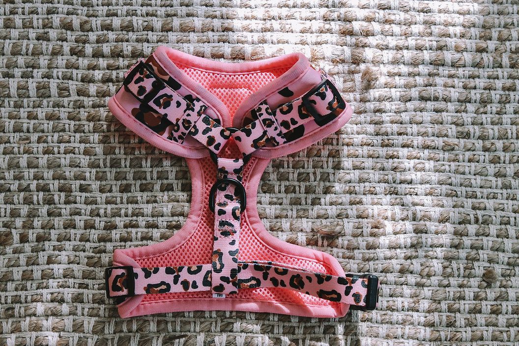 Designer Dog Harness view 2
