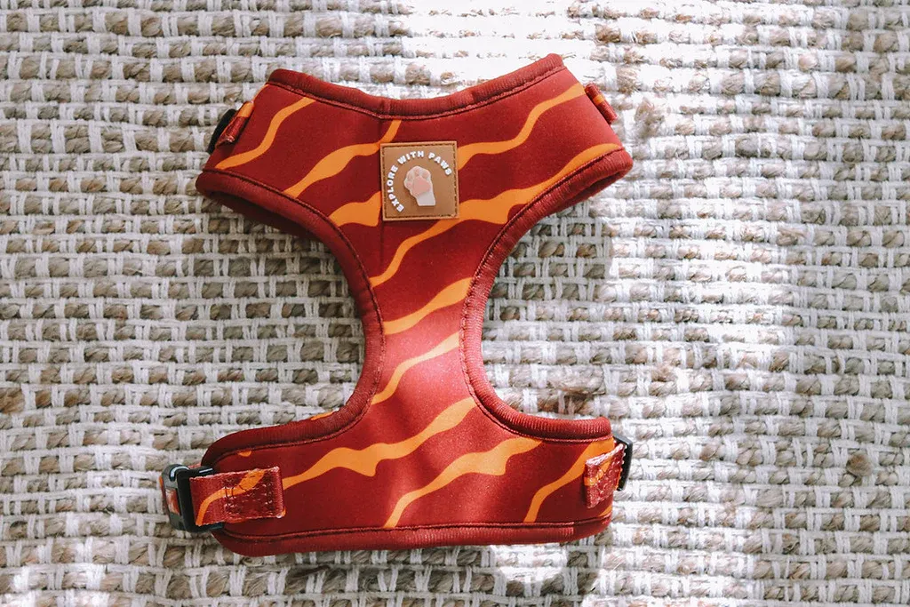 Designer Dog Harness — image 1