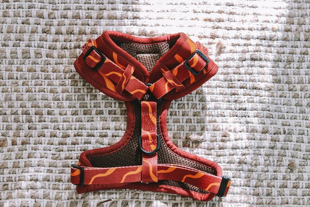 Designer Dog Harness view 2