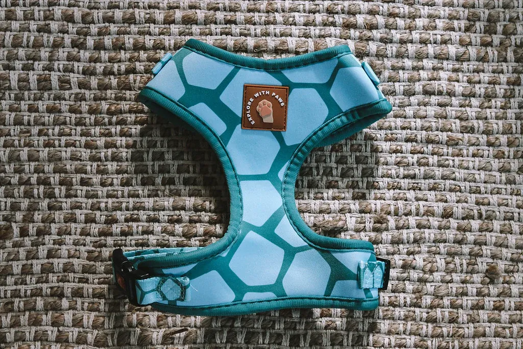 Designer Dog Harness — image 1