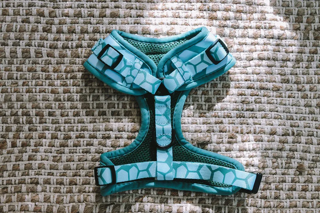 Designer Dog Harness view 2