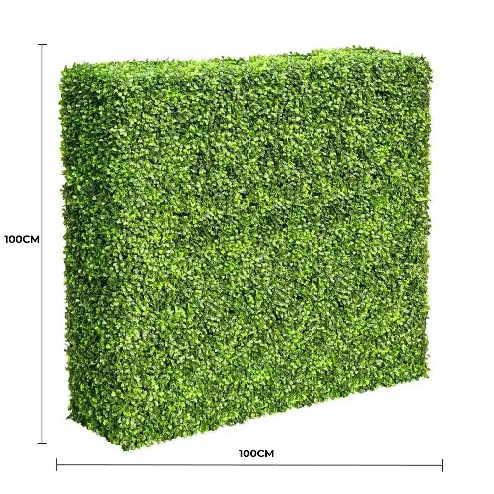 Mixed Boxwood Hedge UV Resistant 100cm Long x 100cm High view 2