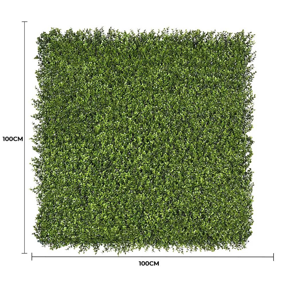 Premium Natural Buxus Hedge Panels UV Resistant 1m X 1m view 2
