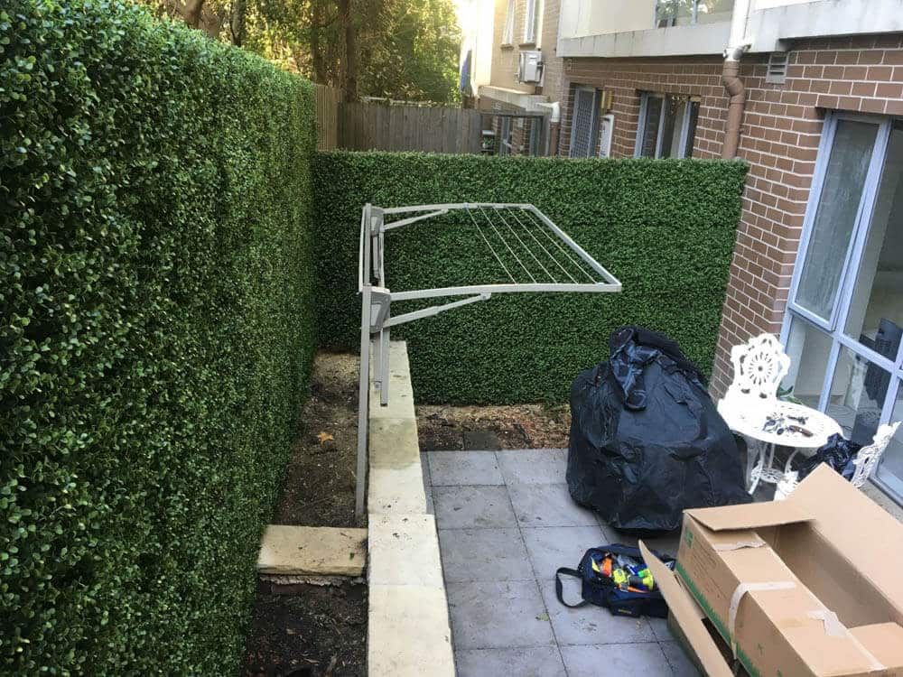 Premium Natural Buxus Hedge Panels UV Resistant 1m X 1m view 3