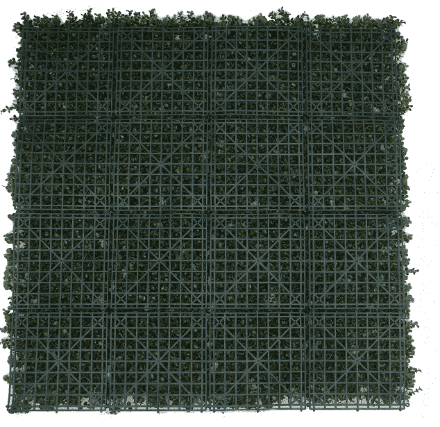 Premium Natural Buxus Hedge Panels UV Resistant 1m X 1m view 4