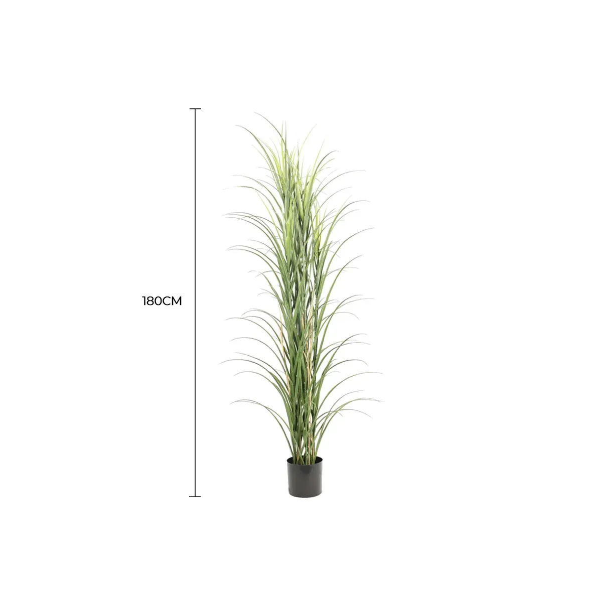 Premium Potted Artificial Long Grass (Yucca Grass / Reed Grass) 180cm UV Resistant — image 1