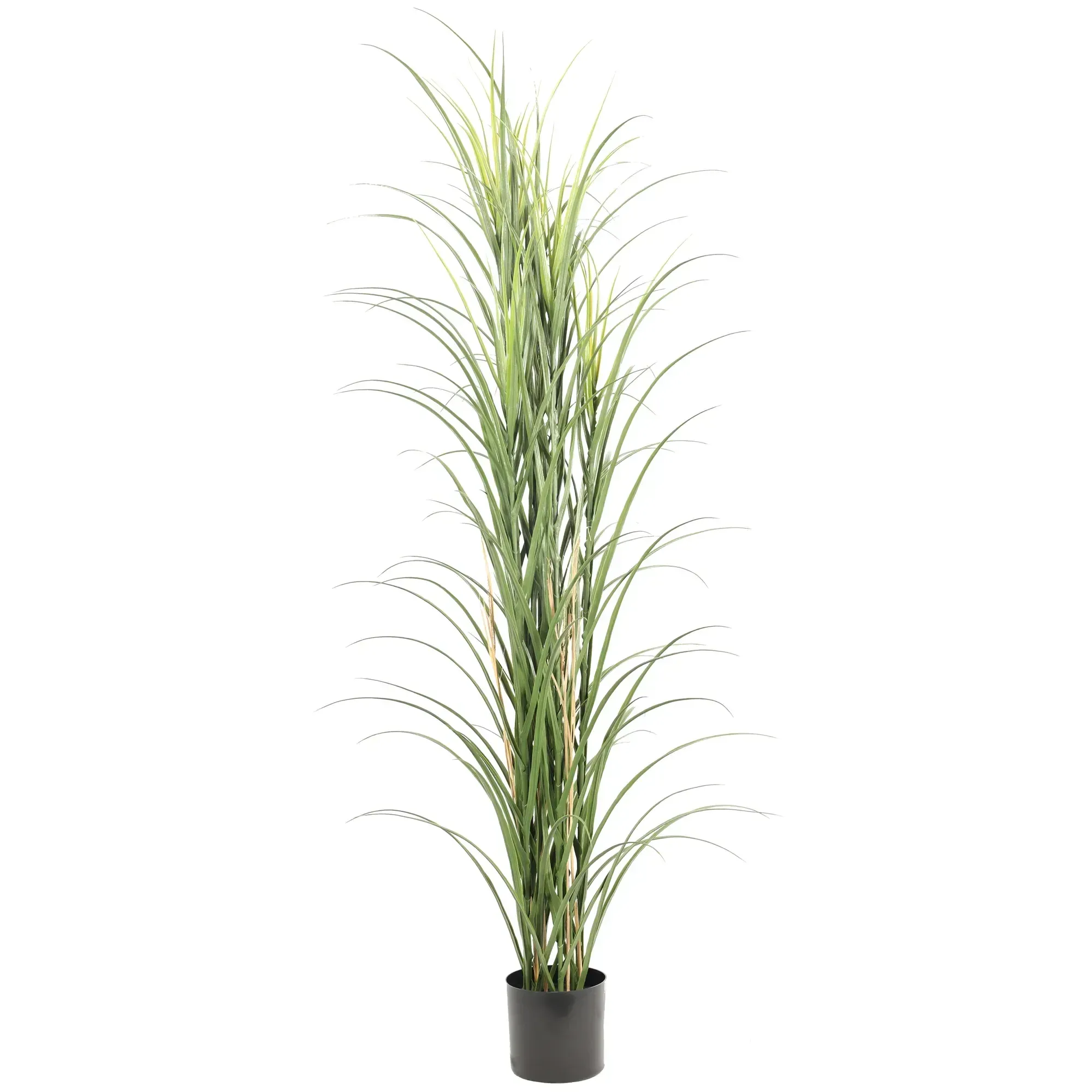 Premium Potted Artificial Long Grass (Yucca Grass / Reed Grass) 180cm UV Resistant view 2