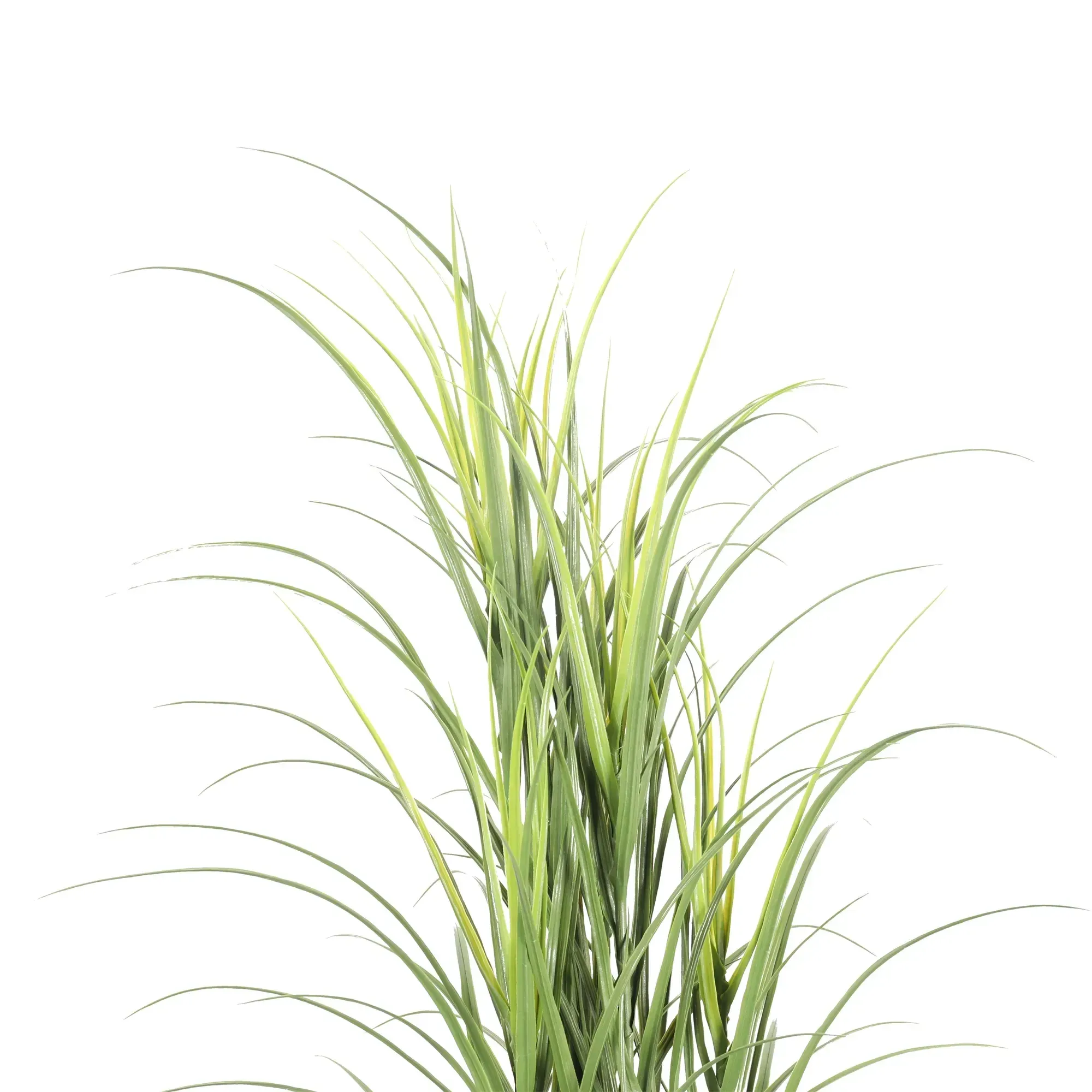 Premium Potted Artificial Long Grass (Yucca Grass / Reed Grass) 180cm UV Resistant view 3