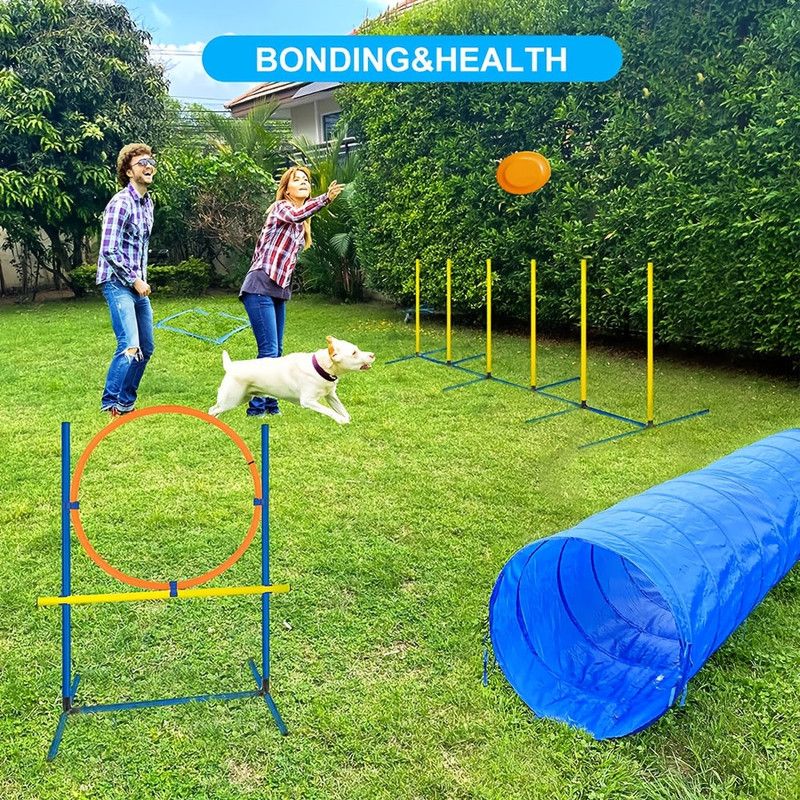 Foldable Dog Agility Training Tunnel view 3