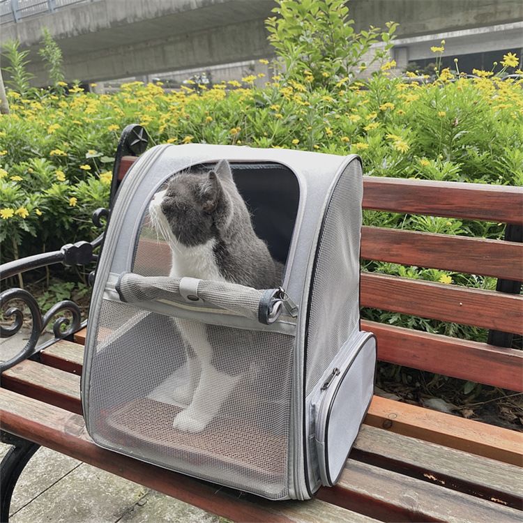 Grey Breathable Pet Carrier Backpack - 35 x 29 x 41 cm Oxford Fabric Travel view 2
