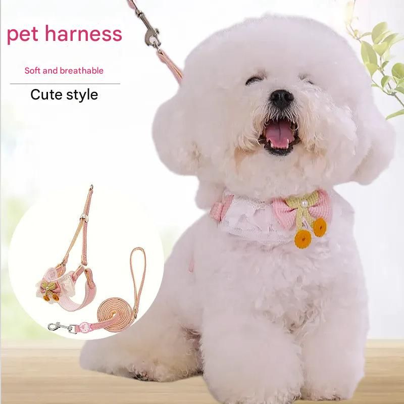 Orange-yellow Lace Y-Shaped Pet Harness and Leash Set - Breathable Mesh Vest view 2