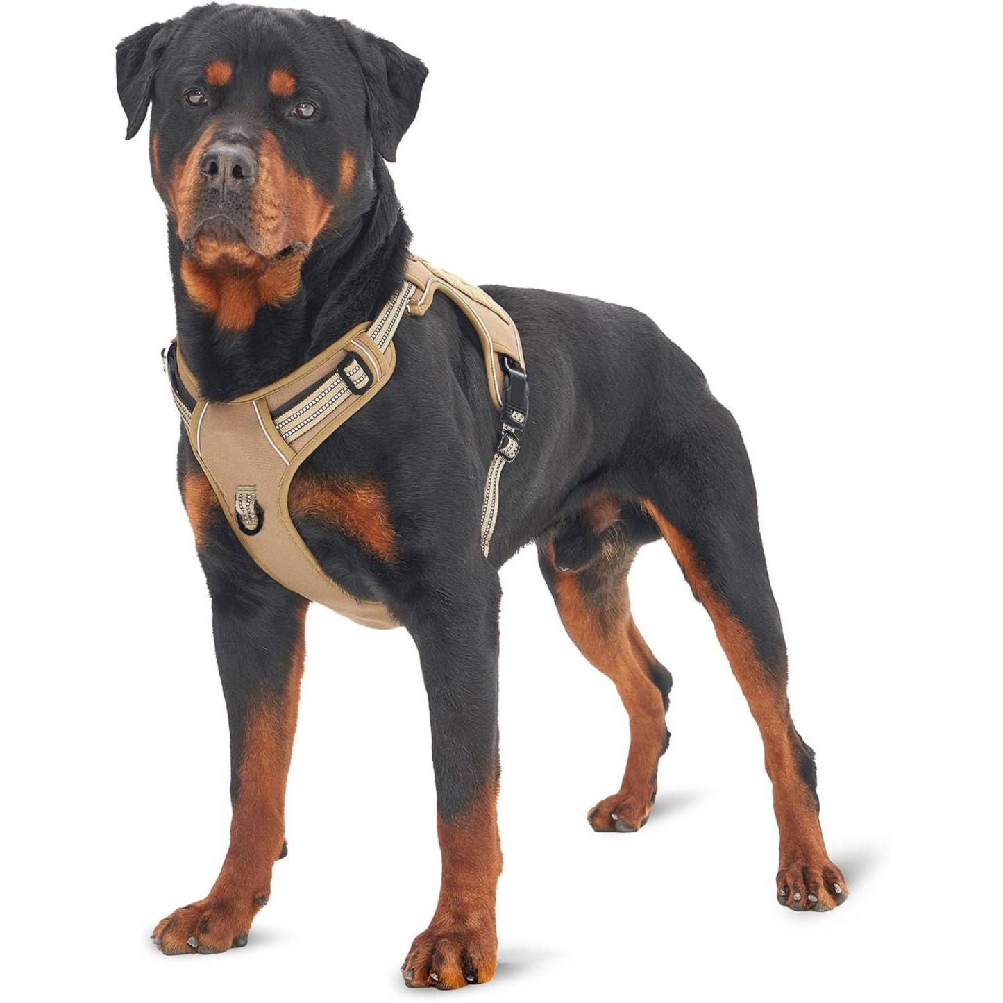 Purple Professional Adjustable Tactical Dog Mesh Harness - Reflective No-Pull view 2
